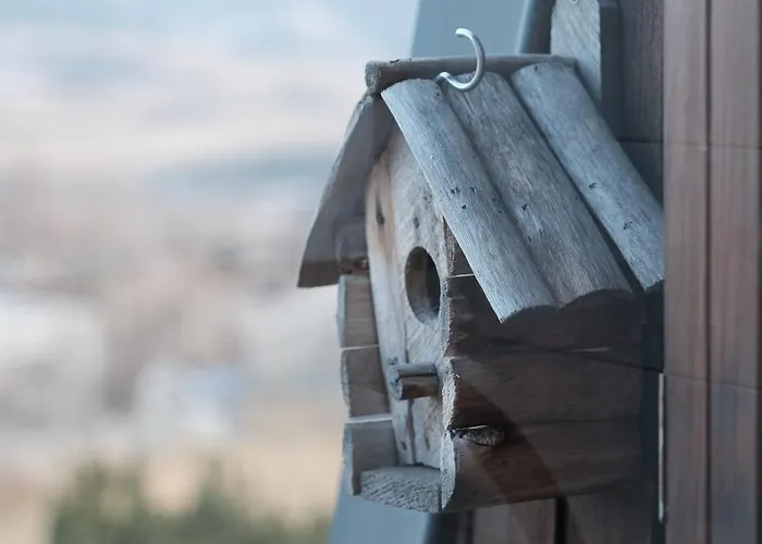 Superbe Appartement, Vue Imprenable Sur Les Montagnes - 1 & 1 Bureau Lejlighed